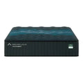 DreamCloud PressureSmart Plush Mattress